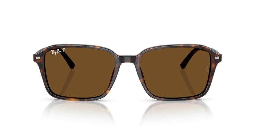 Gafas de Sol Ray-Ban Raimond RB2231 902/57 56 18