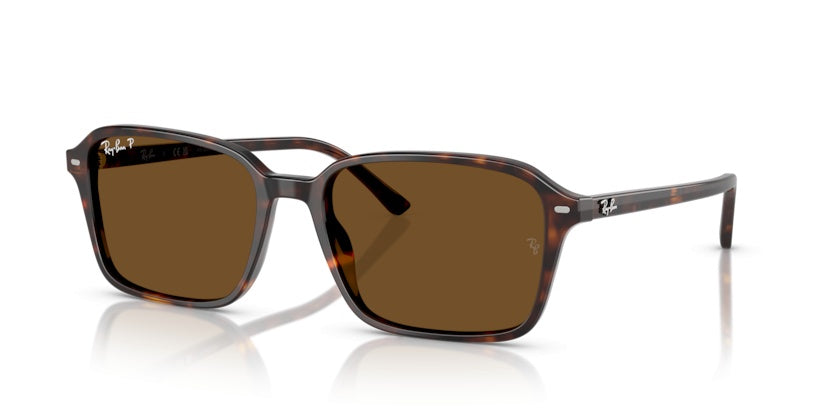 Gafas de Sol Ray-Ban Raimond RB2231 902/57 56 18