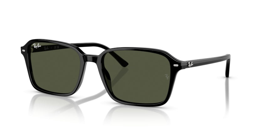 Gafas de Sol Ray-Ban Raimond RB2231 901/31 58 18