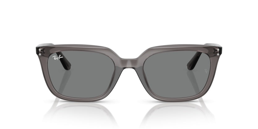 Gafas de Sol Ray-Ban RB4439D 667587 54 21