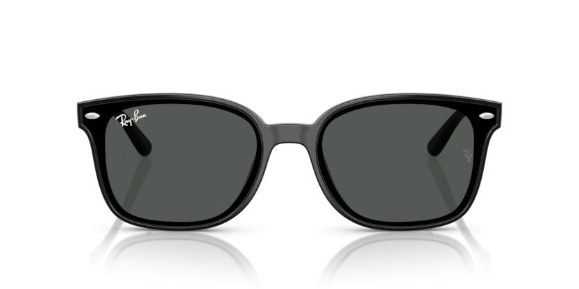 Gafas de Sol Ray-Ban RB4461D 601/87 64 17