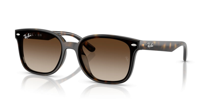 Gafas de Sol Ray-Ban RB4461D 710/13 64 17