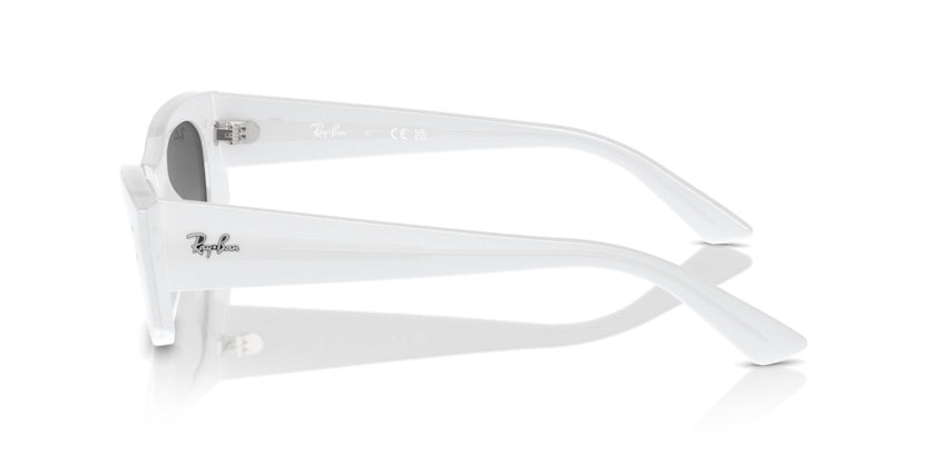 Gafas de Sol Ray-Ban Kat RB4427 675911 49 20