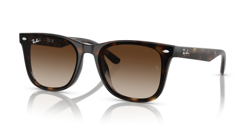 Gafas de Sol Ray-Ban RB4420 710/13 65 18