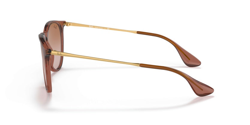 Gafas de Sol Ray-Ban Erika RB4171 659013 54 18