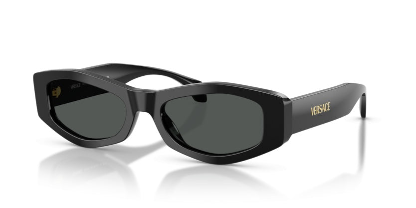 Gafas de Sol Versace VE4487 GB1/87 54 19
