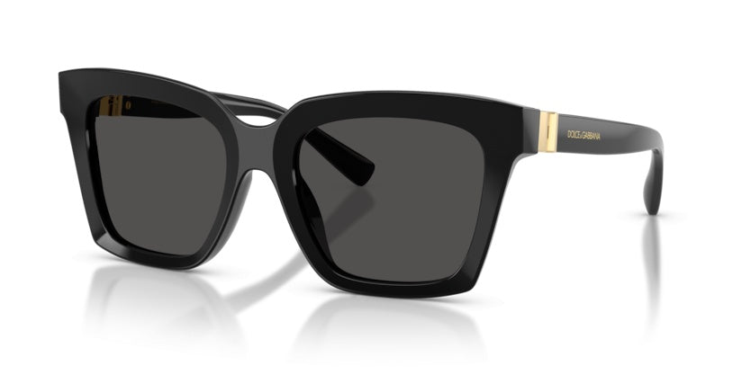 Gafas de Sol Dolce Gabbana DG4498 501/87 55 20