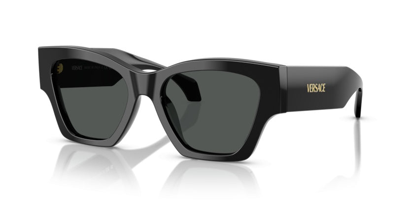 Gafas de Sol Versace VE4492U GB1/87 53 18