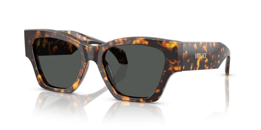 Gafas de Sol Versace VE4492U 551487 53 18