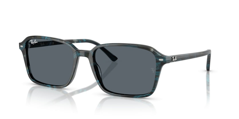 Gafas de Sol Ray-Ban Raimond RB2231 1417R5 56 18