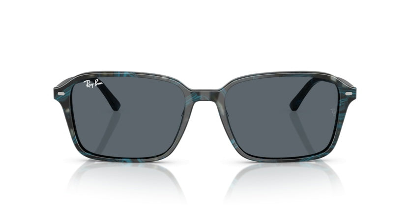 Gafas de Sol Ray-Ban Raimond RB2231 1417R5 56 18