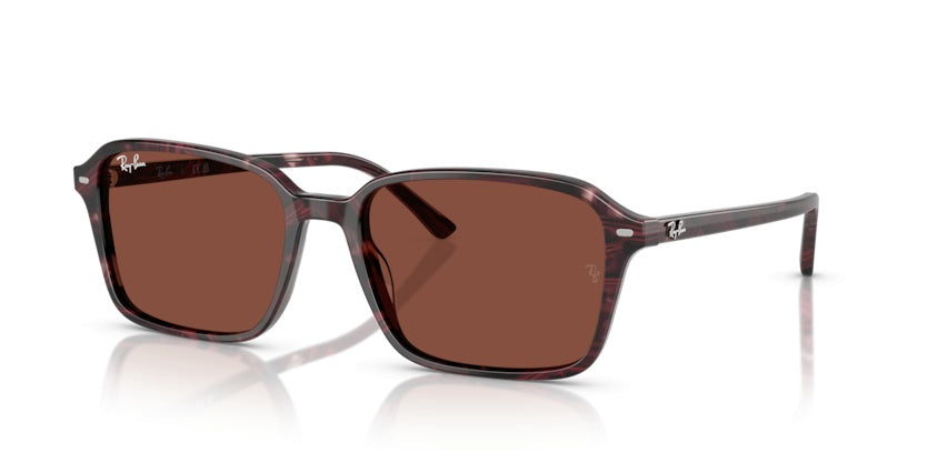 Gafas de Sol Ray-Ban Raimond RB2231 1416C5 56 18