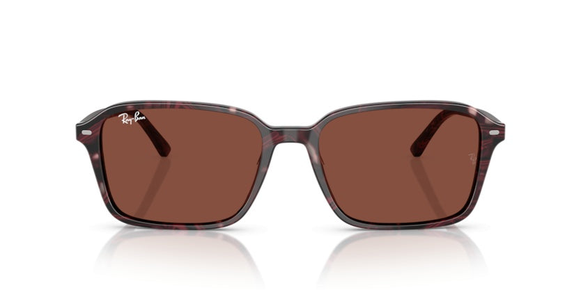 Gafas de Sol Ray-Ban Raimond RB2231 1416C5 56 18