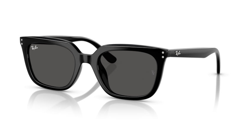 Gafas de Sol Ray-Ban RB4439D 901/87 54 21