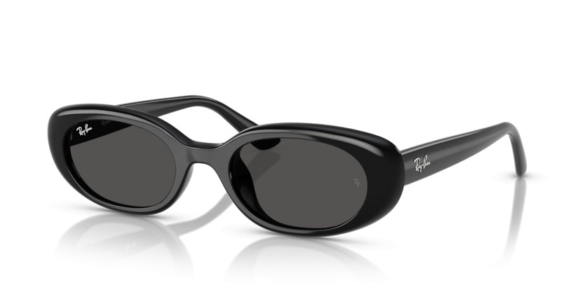Gafas de Sol Ray-Ban RB4441D 667787 53 21