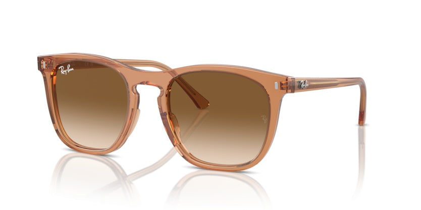 Gafas de Sol Ray-Ban RB2210 676451 53 21