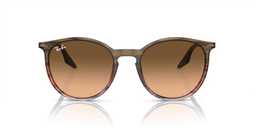 Gafas de Sol Ray-Ban RB2204 13953B 54 20