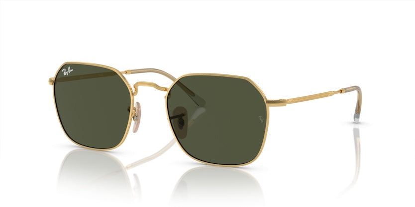 Gafas de Sol Ray-Ban Jim RB3694 001/31 53 20