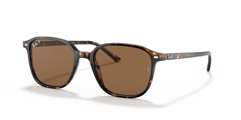 Gafas de Sol Ray-Ban Leonard RB2193 902/57 53 18