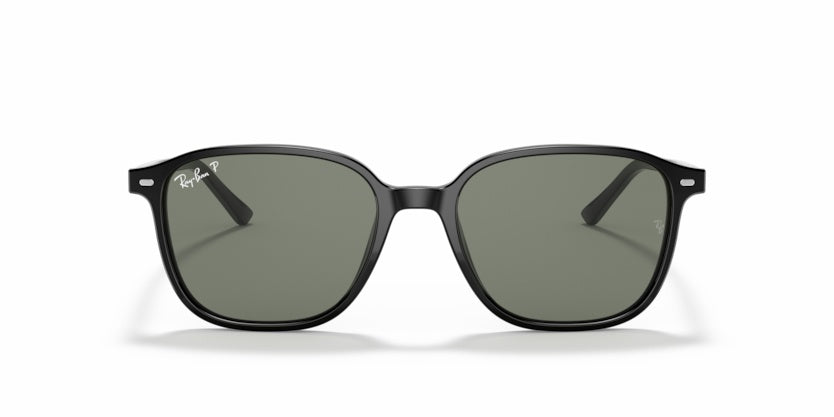 Gafas de Sol Ray-Ban Leonard RB2193 901/58 53 18