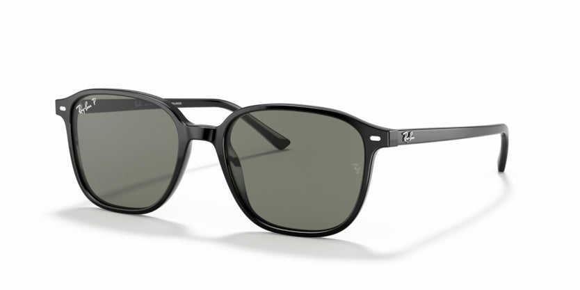 Gafas de Sol Ray-Ban Leonard RB2193 901/58 53 18