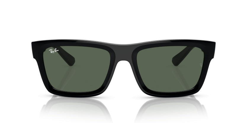 Gafas de Sol Ray-Ban Warren RB4396 667771 54 20