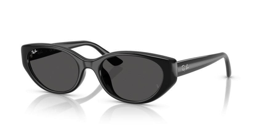 Gafas de Sol Ray-Ban RB4457D 667787 55 19