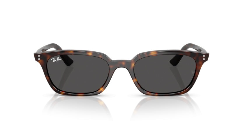Gafas de Sol Ray-Ban RB4456 135987 53 19