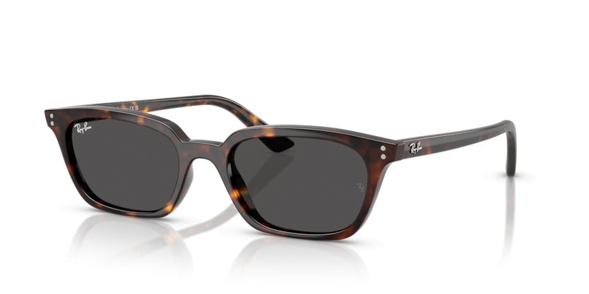 Gafas de Sol Ray-Ban RB4456 135987 53 19