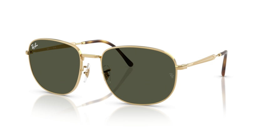 Gafas de Sol Ray-Ban RB3754 001/31 60 19