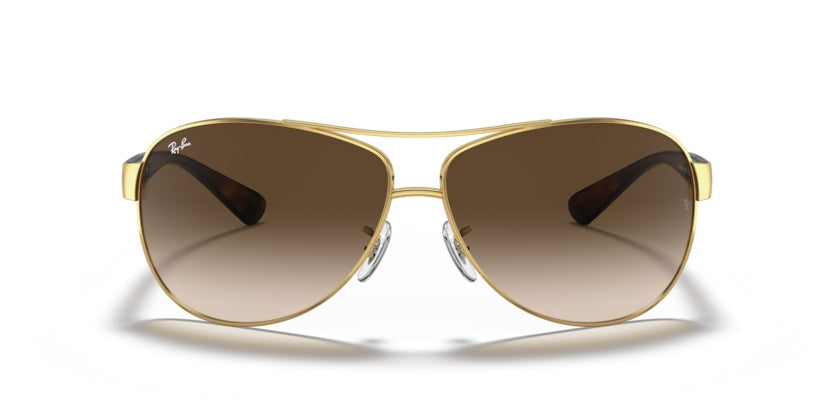 Gafas de Sol Ray-Ban RB3386 001/13 67 13