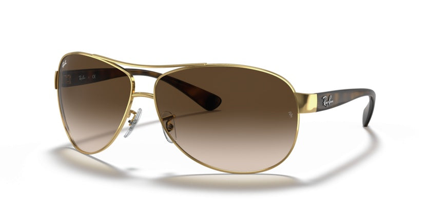 Gafas de Sol Ray-Ban RB3386 001/13 67 13