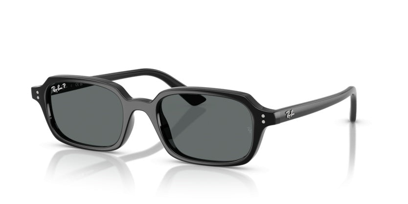 Gafas de Sol Ray-Ban RB4455 667781 52 19