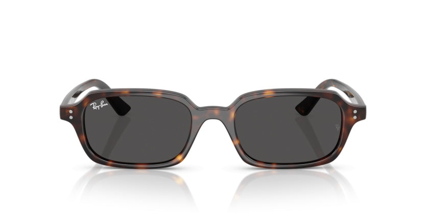 Gafas de Sol Ray-Ban RB4455 135987 52 19