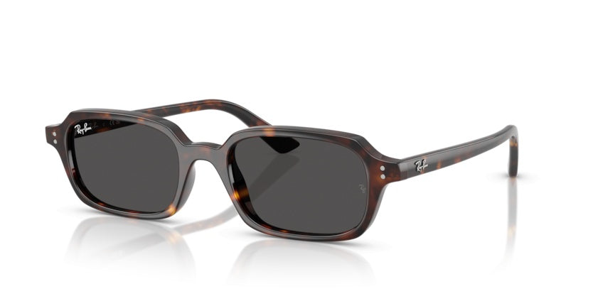 Gafas de Sol Ray-Ban RB4455 135987 52 19