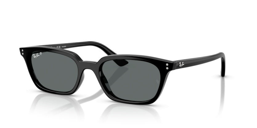 Gafas de Sol Ray-Ban RB4456 667781 53 19
