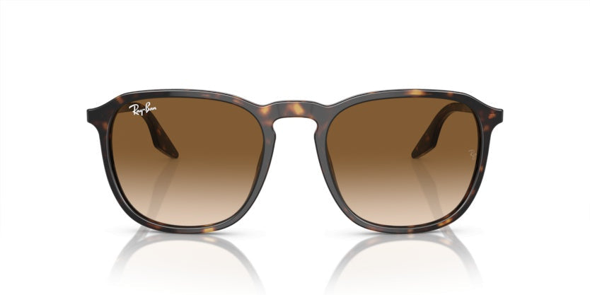 Gafas de Sol Ray-Ban RB2203 902/51 55 20