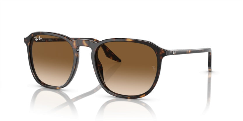 Gafas de Sol Ray-Ban RB2203 902/51 55 20