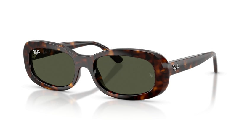 Gafas de Sol Ray-Ban RB2221 902/31 56 18