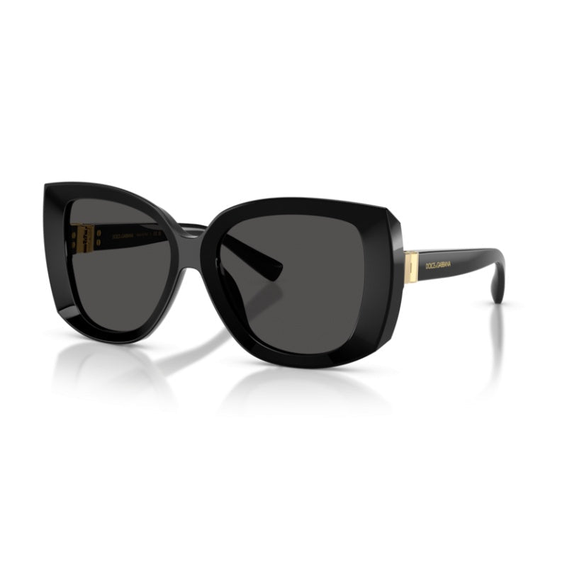 Gafas de Sol Dolce Gabbana DG4495 501/87 56 18
