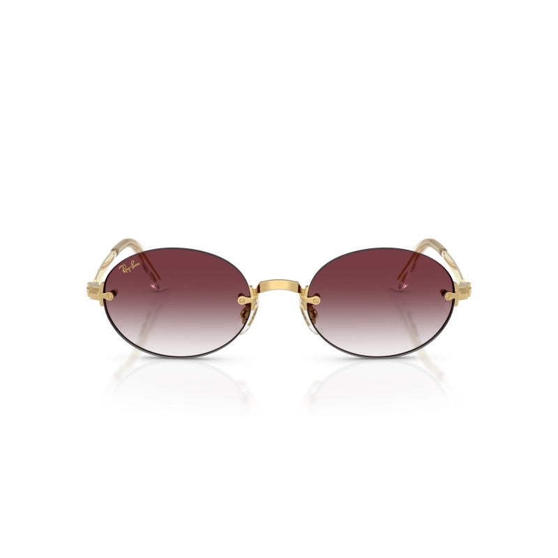 Gafas de Sol Ray-Ban RB3929 001/8H 54 20