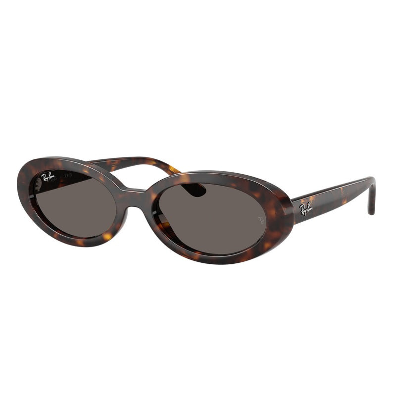 Gafas de Sol Ray-Ban RB2223 902/B1 54 19