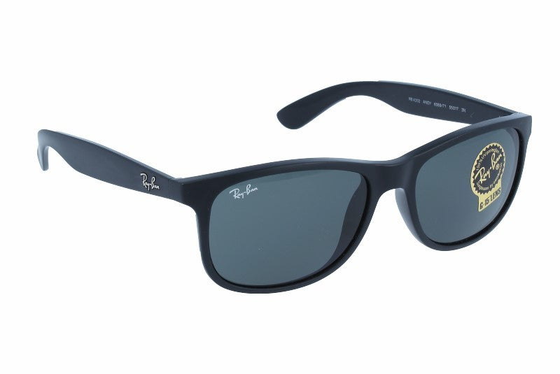 Gafas de Sol Ray-Ban Andy RB4202 606971 55 17