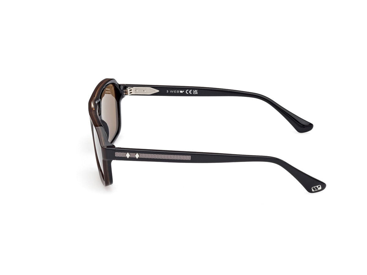 Gafas de Sol Web WE376 50E 55 19