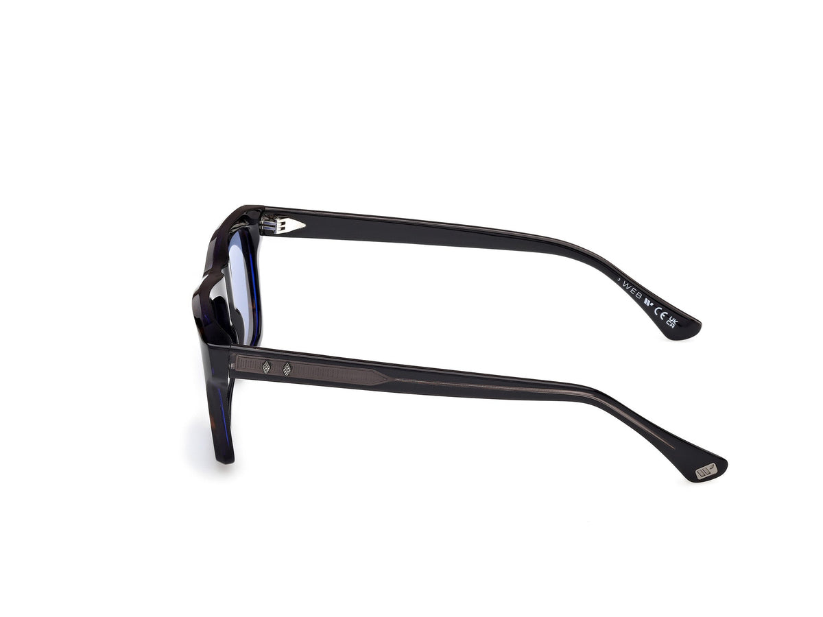 Gafas de Sol Web WE382 56V 55 17