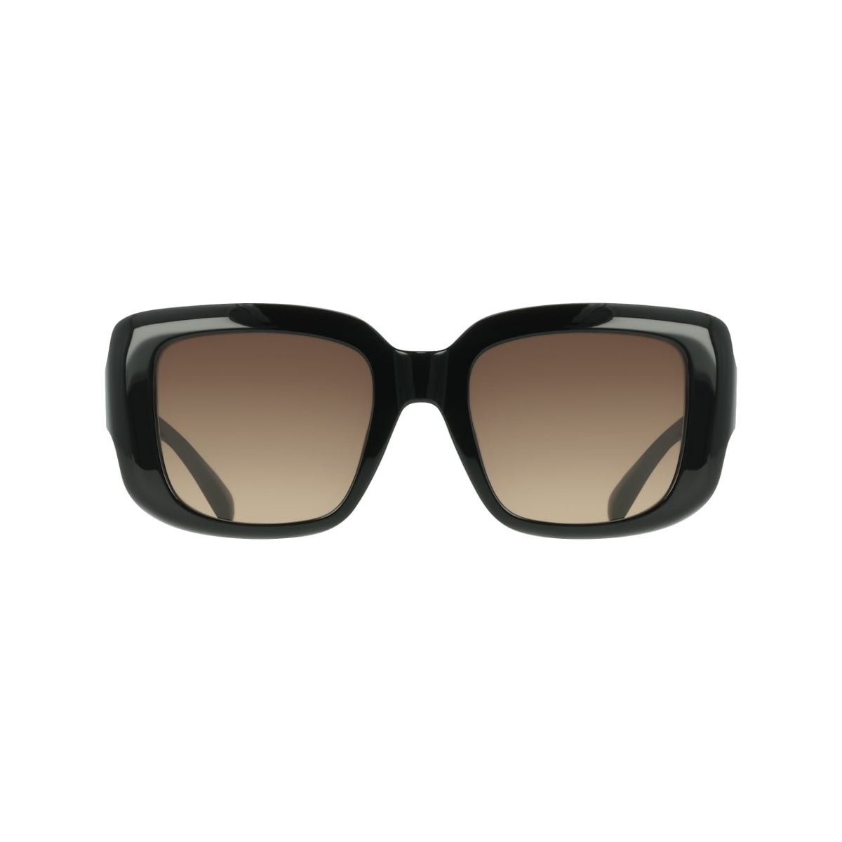 Gafas de Sol Ferragamo SF2117S 001 52 21