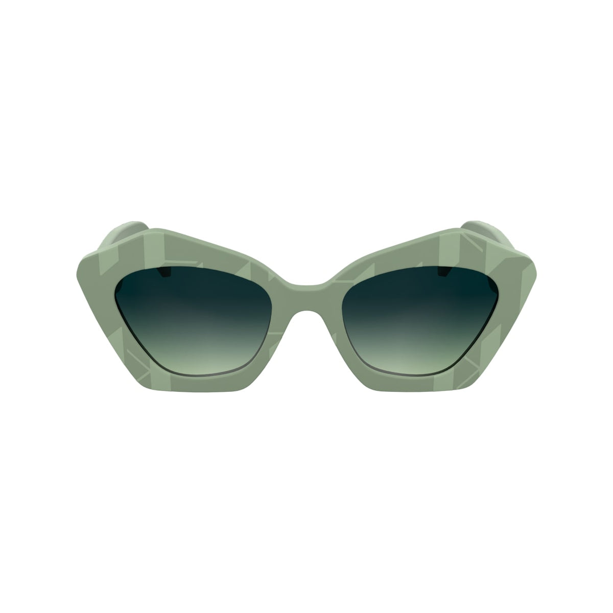 Gafas de Sol Karl Lagerfeld KL6199S 316 53 21