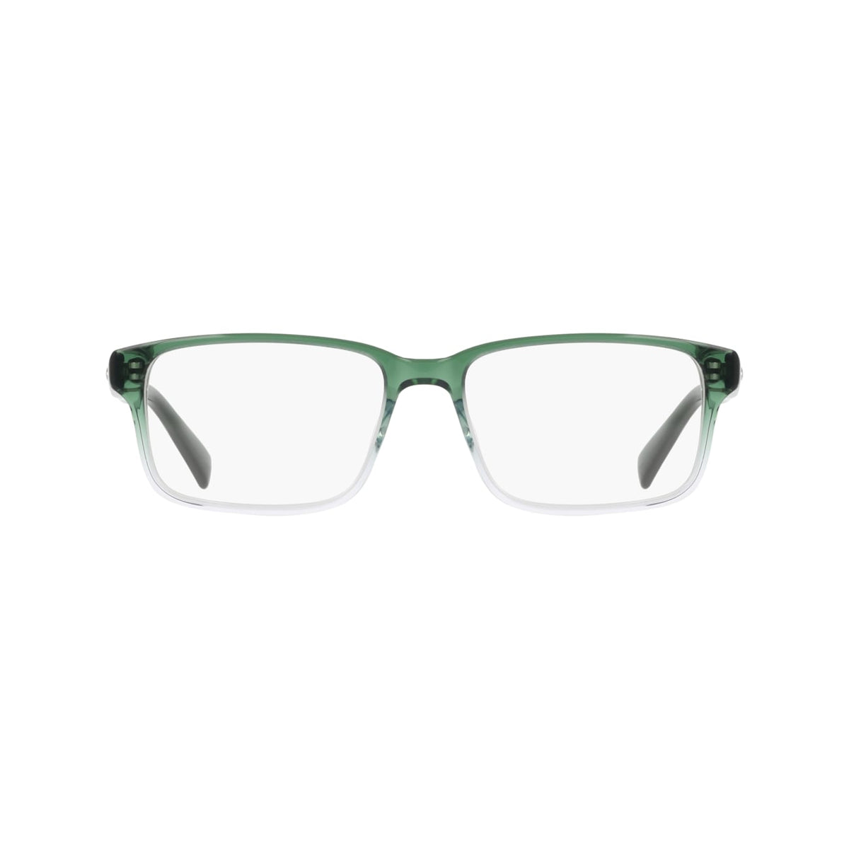 Prescription Glasses Nike NIKE 1001C 313 49 / 51 15 / 16