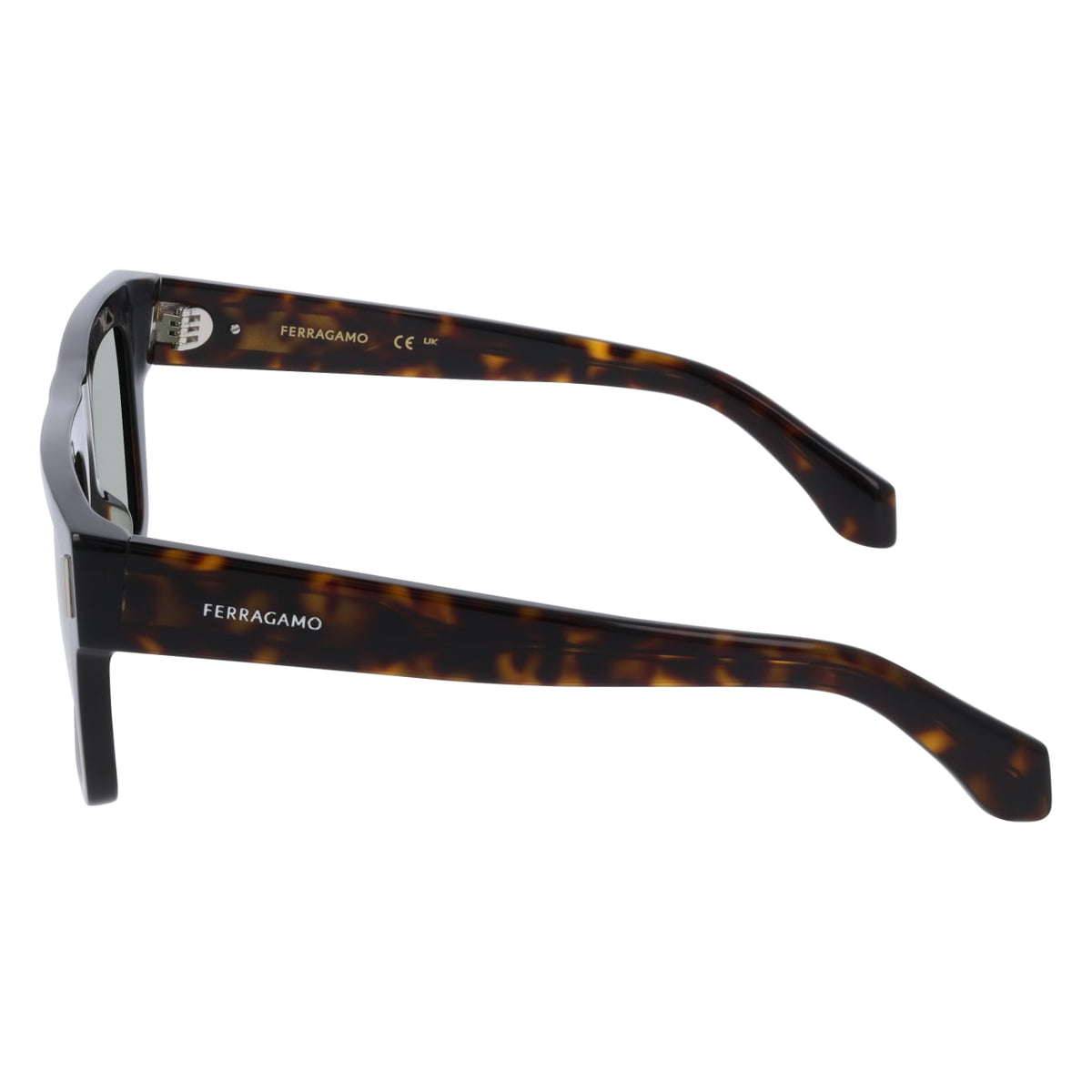 Gafas de Sol Ferragamo SF2063SE 242 53 19