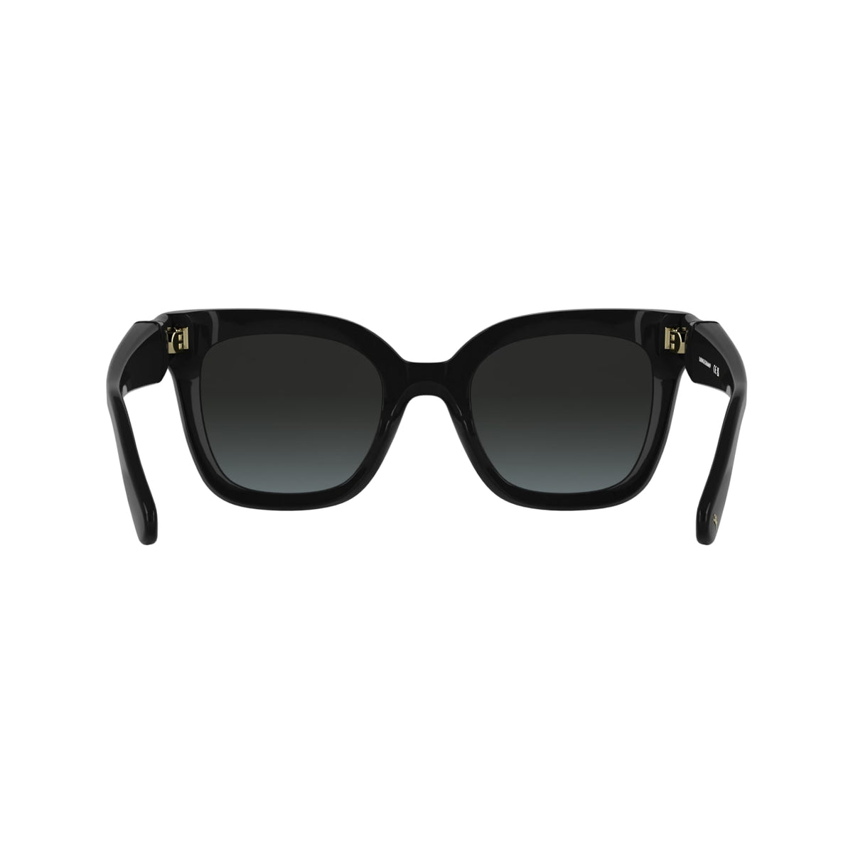 Gafas de Sol Longchamp LO793S 001 53 23